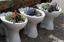 Garden Toilet Bowl Planters - Winter