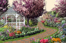 Garden design:Flowers in hot summer afternoon. Garden design:Flowery path