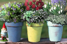 Garden design: Garden design:Pot flowers (my version)