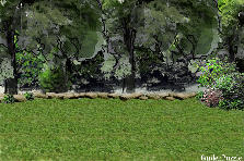Garden design: Garden design:yard