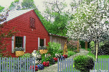 Garden design: Garden design:Peaceful home