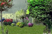 Garden design: Garden design:Garden1