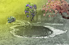 Garden design: Garden design:mine