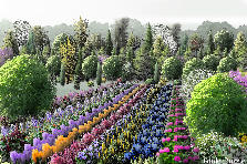 Garden design:The Grand Beauty Field Garden design:A GRAND Garden