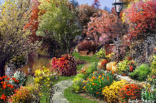Garden design:Walk in the Park