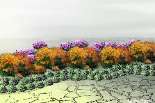 Garden design:aprendizado Garden design:reflorestamento