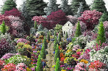 Garden design:finally the stone path to home, after a long day... what a welcoming walk to the door. Lot's to do tonight in the garden. Garden design:Pathway to home