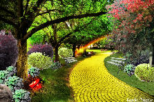 Garden design: Garden design:Dorothy's quest
