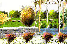Garden design: Garden design:"Neutral Healing Garden"