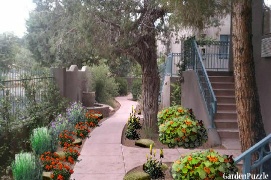 southwest garden walkway gardenpuzzle online garden planning tool southwest garden walkway gardenpuzzle online garden planning tool