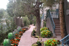 Garden design: Garden design:Southwest garden walkway