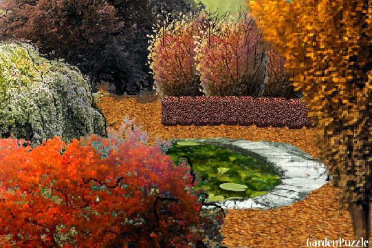 Garden design:COLORS OF AUTUMN - Autumn