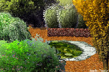 COLORS OF AUTUMN - Summer