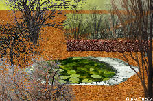 COLORS OF AUTUMN - Winter
