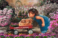 Garden design:We must collect some flowers for nanny and mommy, babbies, because they are very special. You are very special, and I love you to, okay? Garden design:Collecting flowers for nanny and mommy
