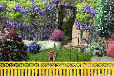 Garden design:Sit down and enjoy the scent .......
Thanks for the background, Vera.
Garden design:The Wisteria House