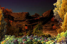 Garden design:The old mill is falling down, but in the early Autumm light is a picturisque beauty next to the over grown pond. Some late shrubs and flowers remain to hang on to the last light of summer.... a beauty for only scenic lovers. Garden design:The old mill