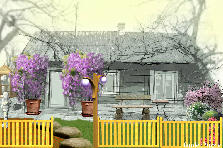 Garden design: Garden design:trial design