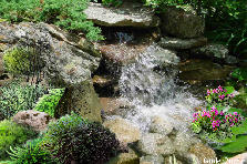 Garden design:Mini Icy Waterfall In Koi Pond