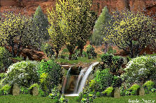Garden design:recharge your batteries here... Garden design:natures way...