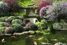 Garden design: Garden design:Korean Garden House and Koi Pond