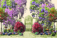 Garden design: Garden design:Wisteria Gardens