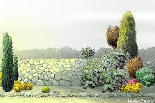 Garden design:Trial & Error Garden design:Test