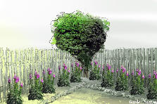 Garden design:dhajsgdbsvdjkvzcxd Garden design:garden