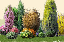 Garden design:prima prova del software Garden design:Prima prova