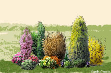 Garden design:prima prova del software Garden design:Prima prova