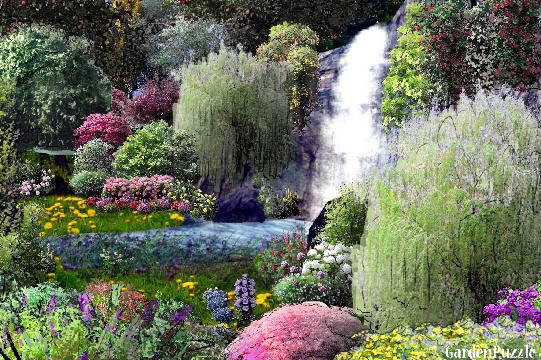 Garden design:Paradise Falls - Summer