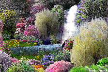 Paradise Falls - Spring