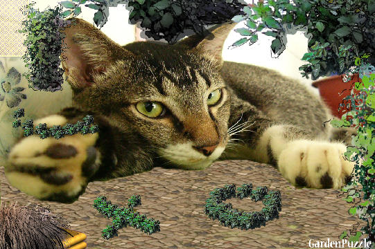 Garden design:I'm Sorry! - Winter