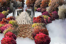 Garden design:Into the Myst
