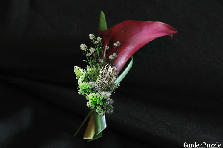 Black Cherry Calla Wedding Boutonniere - Autumn
