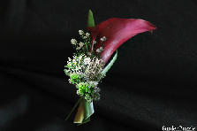 Garden design: Garden design:Black Cherry Calla Wedding Boutonniere