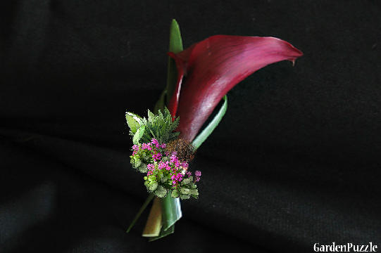 Garden design:Black Cherry Calla Wedding Boutonniere - Winter