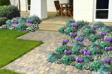 Garden design: Garden design:25-01-2012