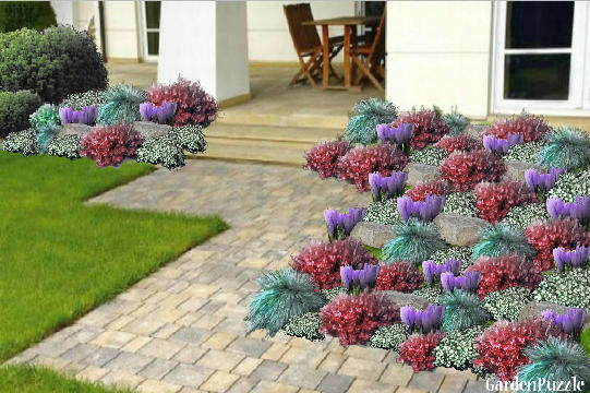 Garden design:25-01-2012 - Winter