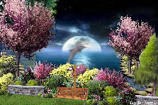 Garden design:Imagine warm summer night, moonlight and sound of waves...and relax.... Garden design:Moonlight at see...