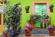 Garden design:For Zachy - Mediterranean
For Zachy, a watercolor Mediterranean. The "water" on the wall, is not water! It's blue paint, but I just got this blue ......:( ....Lolol
I love the Mediterranean and its people.
In the Mediterranean everything is excessive: colors and flowers and heart. Words and Joy and Pain. Actions, emotions, feelings.
Thank you, Zachy, possessing affections such Mediterranean, for this beautiful, (for me) Mediterranean background. Garden design:To Zachy - A VIEW...my version