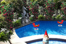 Temple bay resort-2 - Summer