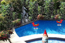Temple bay resort-2 - Spring