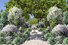 Garden design: A beautiful garden of white. Not much more to do with it, since the game froze things I did with it, and couldn't move things around or undo anything. I would have had to delete the whole thing... if you are a bride, it's a garden for u...the rest of us, a beautiful place to visit. Garden design:Garden of White