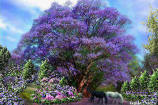 Garden design:An Amythest Tree sets the back drop for this picture, and softly shades two beautiful horses of black and white. The whole garden is centered around the colors of the tree, and the shades of deep pink, and the white horse. The black one, needs no accent...it stands alone. Bursting with colors of purples, lavenders, pinks, whites, and green, this is a pleasant picture to look at, as well as to visit. Garden design:Horses Grazing by a Lavender Tree
