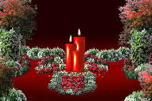 Garden design:Just a lovely romantic candle...set with flowers and shrubs, Garden design:Romantic Candle