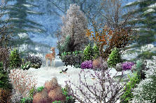 Garden design:A deer peeks out through the woods into the clearing for a look around, just as an eagle spots a small rodant scurring accross the snow, and snatches it up... the deer looks around and wonders where she can find food for her and her babies to. Garden design:Deer and Eagle in Woods
