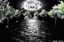 Garden design:Moon Light and champagne anyone? Garden design:Moon Lit Night