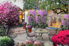 Garden design: Garden design:Tuscan pool