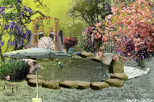 Garden design: Garden design:japenese garden